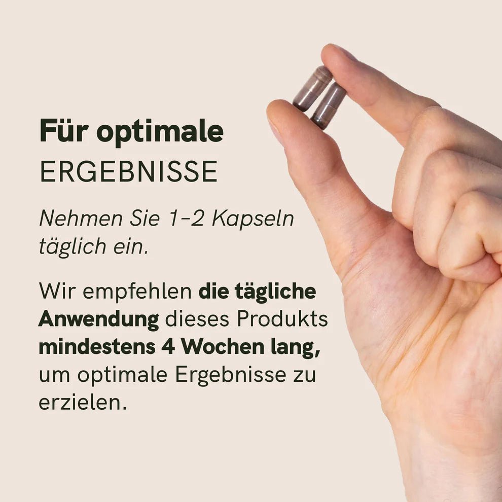 Ashwagandha Kapseln Supplements - Hanfify