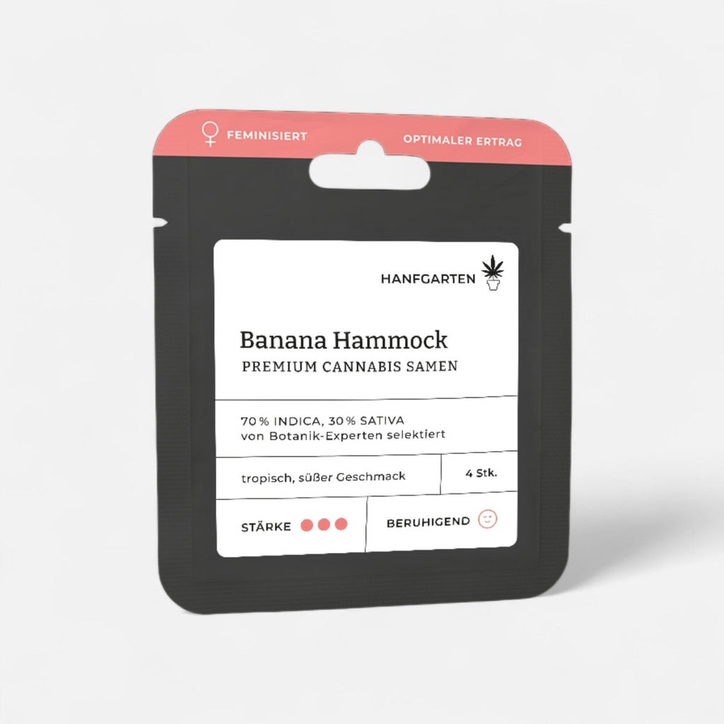 Banana Hammock | Feminisiert Cannabissamen - Hanfify