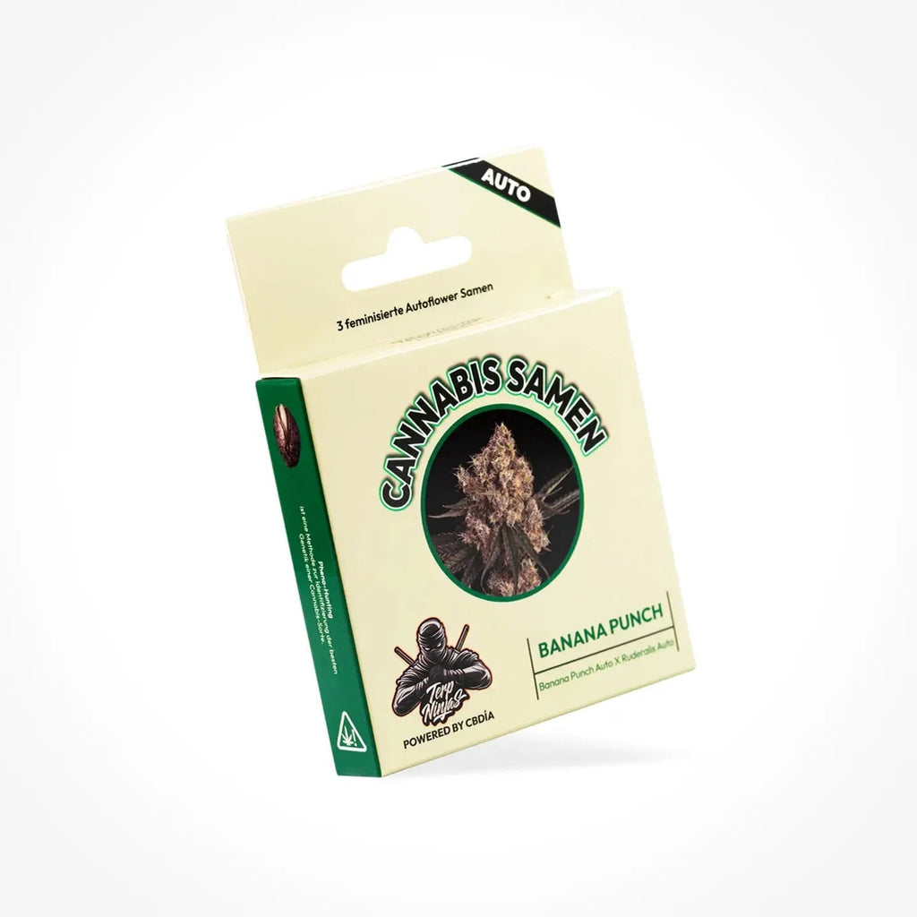 Banana Punch Samen Automatik - Cannabissamen - Hanfify®