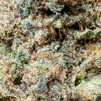 Banana Runtz Ökopack Blüten 3g - Hanfify®