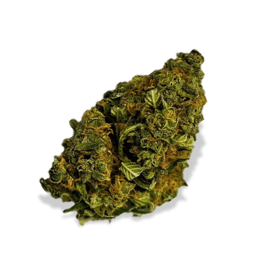 Berry Kush Ökopack Blüten 3g - Hanfify®
