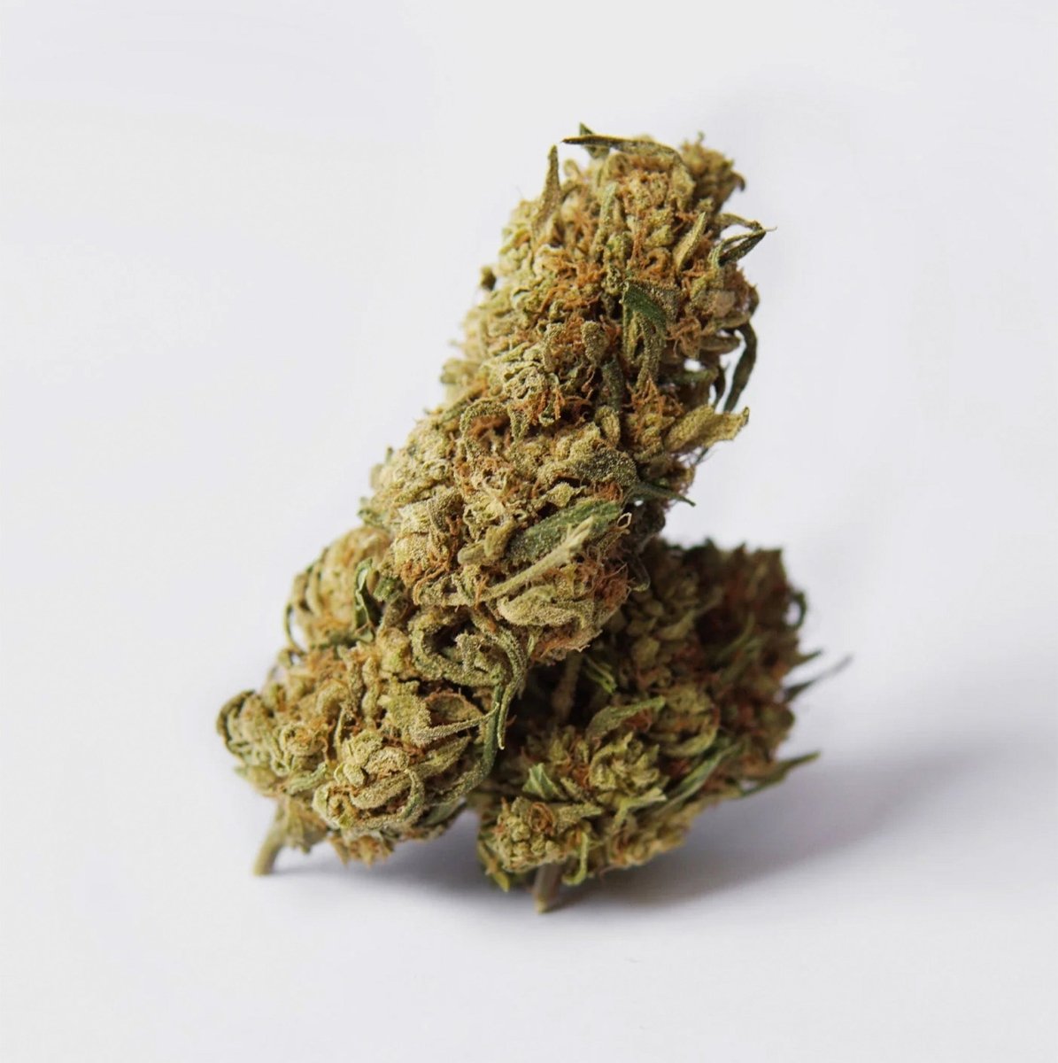 🥦 Big Buds 9% CBG Blüten 5g Baggie - Hanfify®