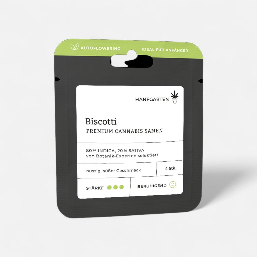 Biscotti | Autoflowering - Cannabissamen - Hanfify®