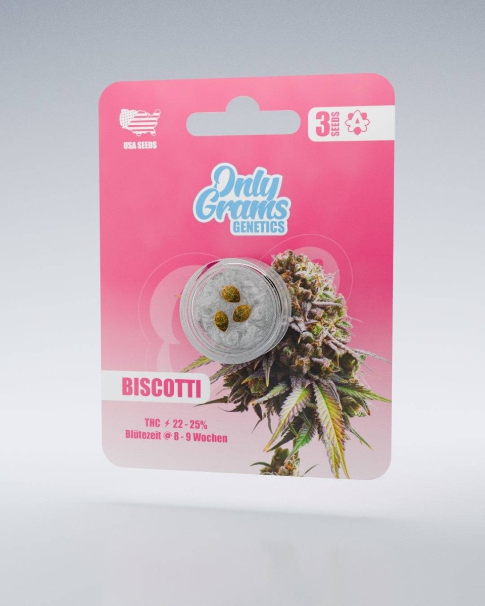Biscotti THC - Seeds Cannabissamen - Hanfify