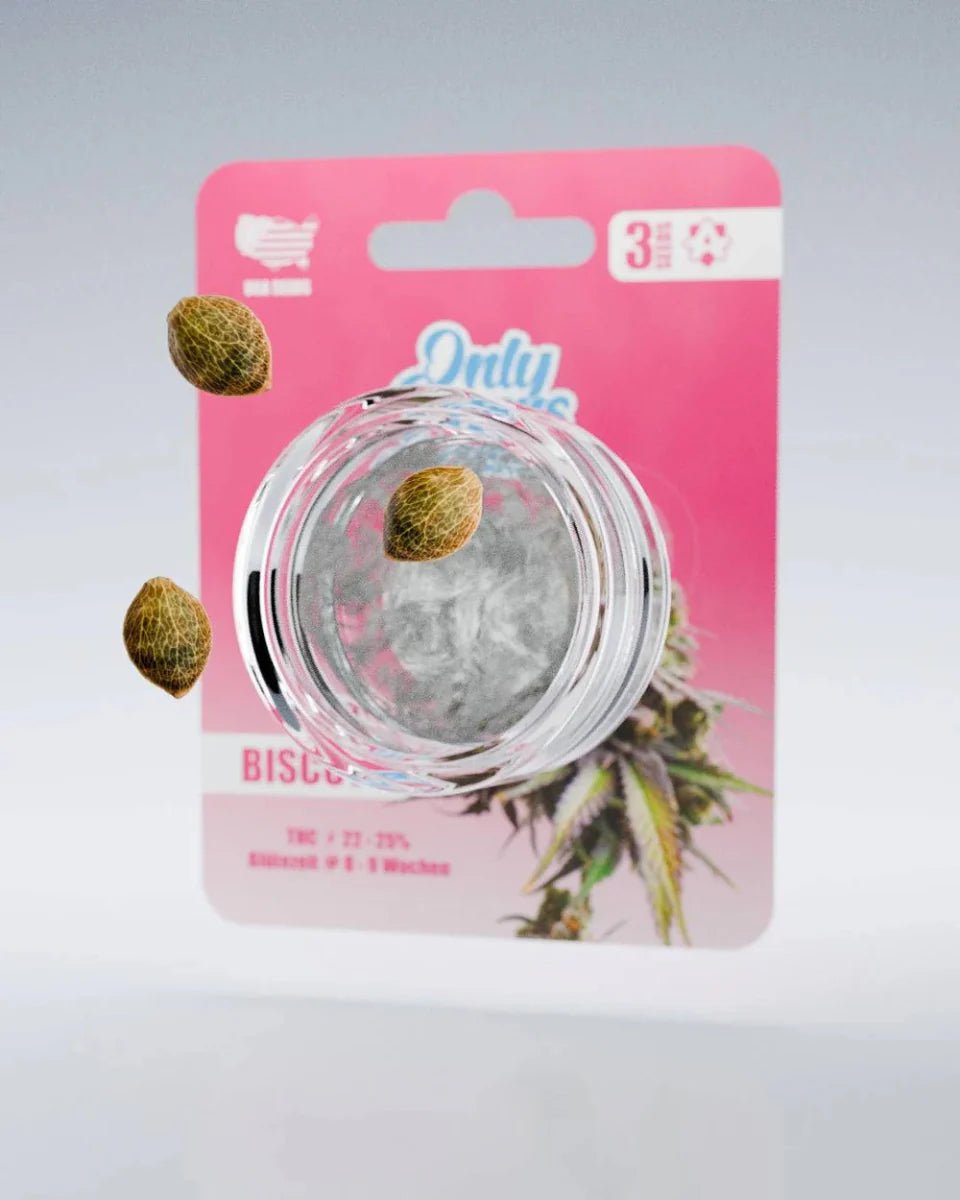 Biscotti THC-Seeds - Cannabissamen - Hanfify®