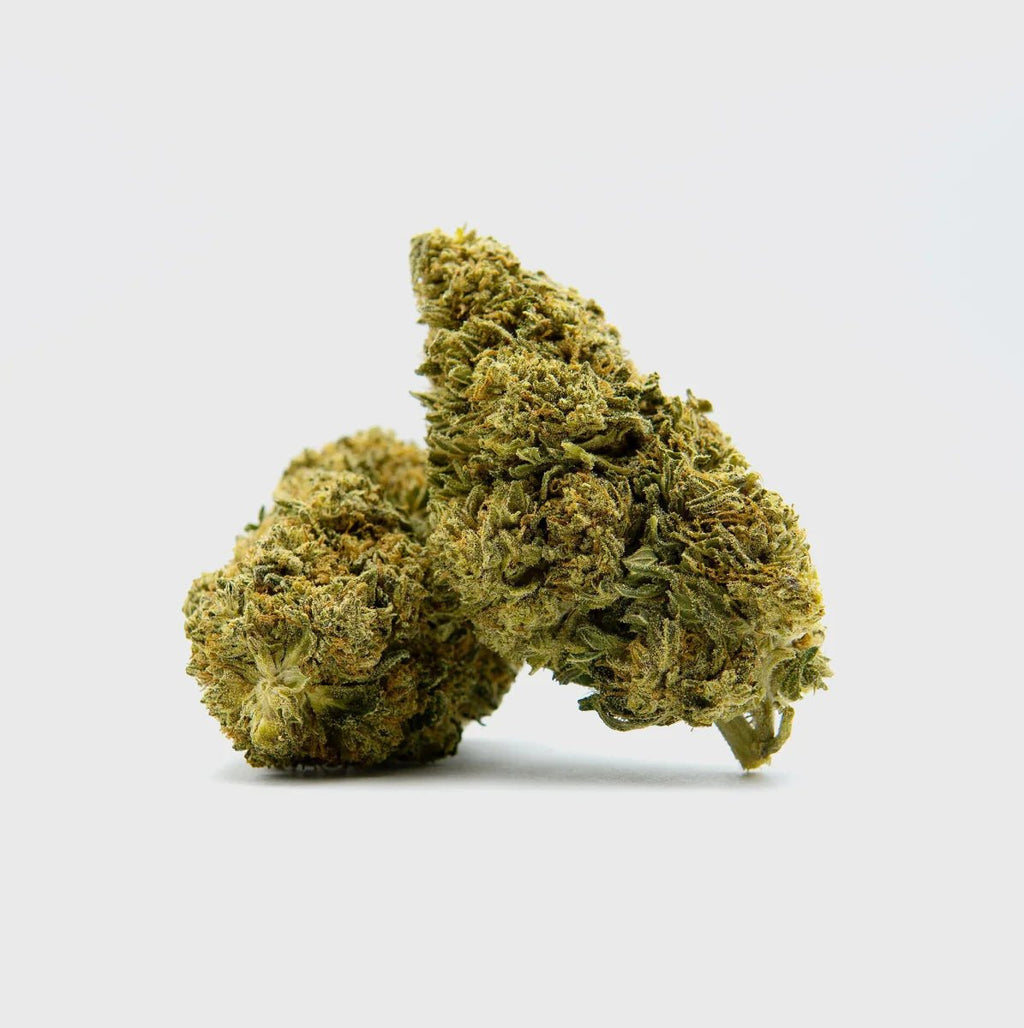 Black Diesel Superior ⛽️ - Blüten - Hanfify®