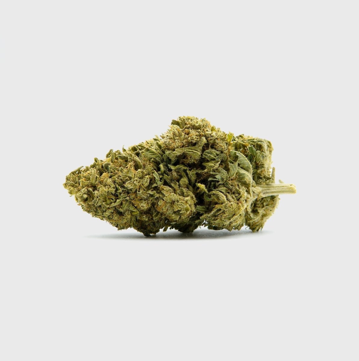 Black Diesel Superior ⛽️ - Blüten - Hanfify®