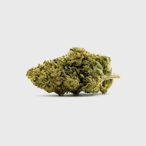 Black Diesel Superior ⛽️ - Blüten - Hanfify®