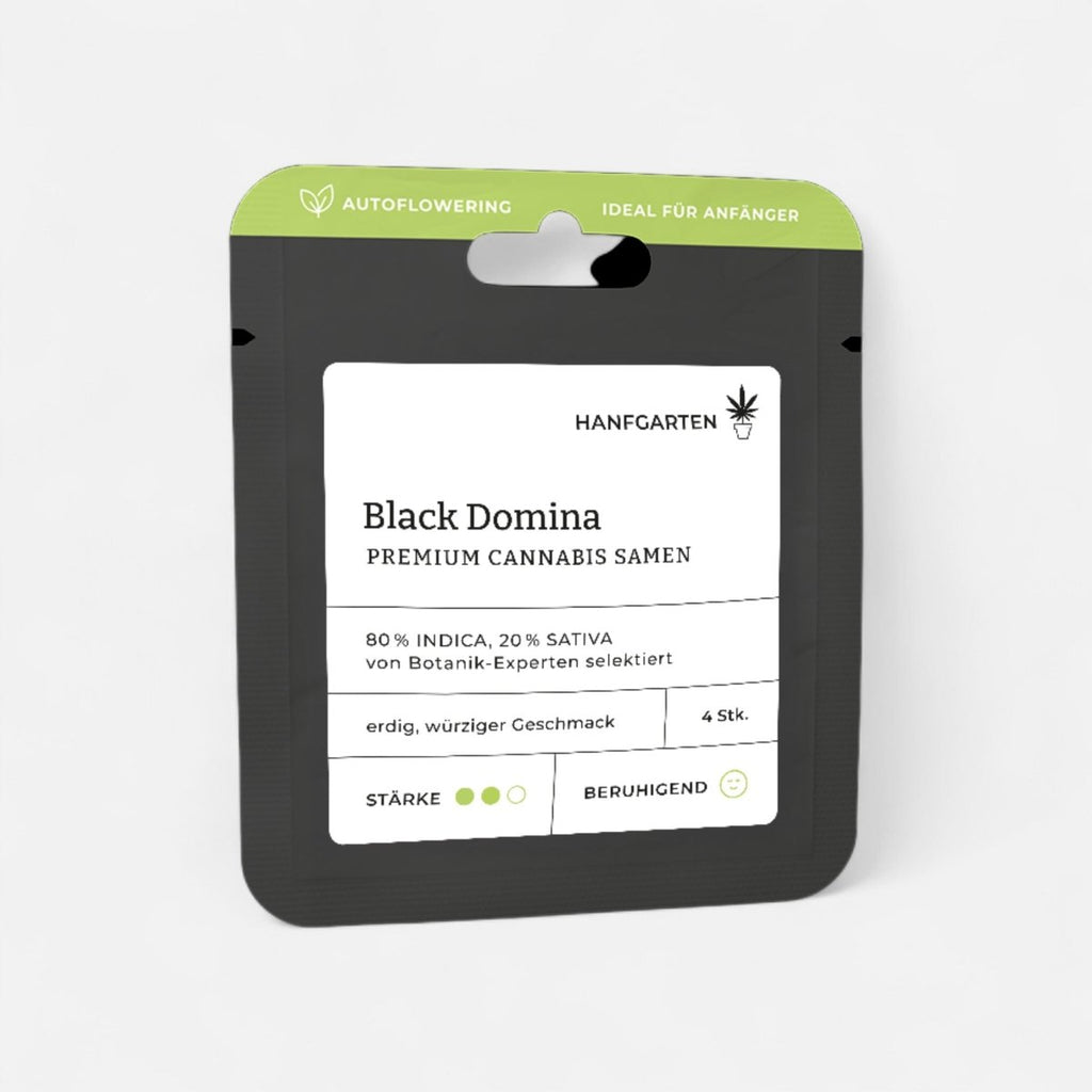 Black Domina | Autoflowering - Cannabissamen - Hanfify®