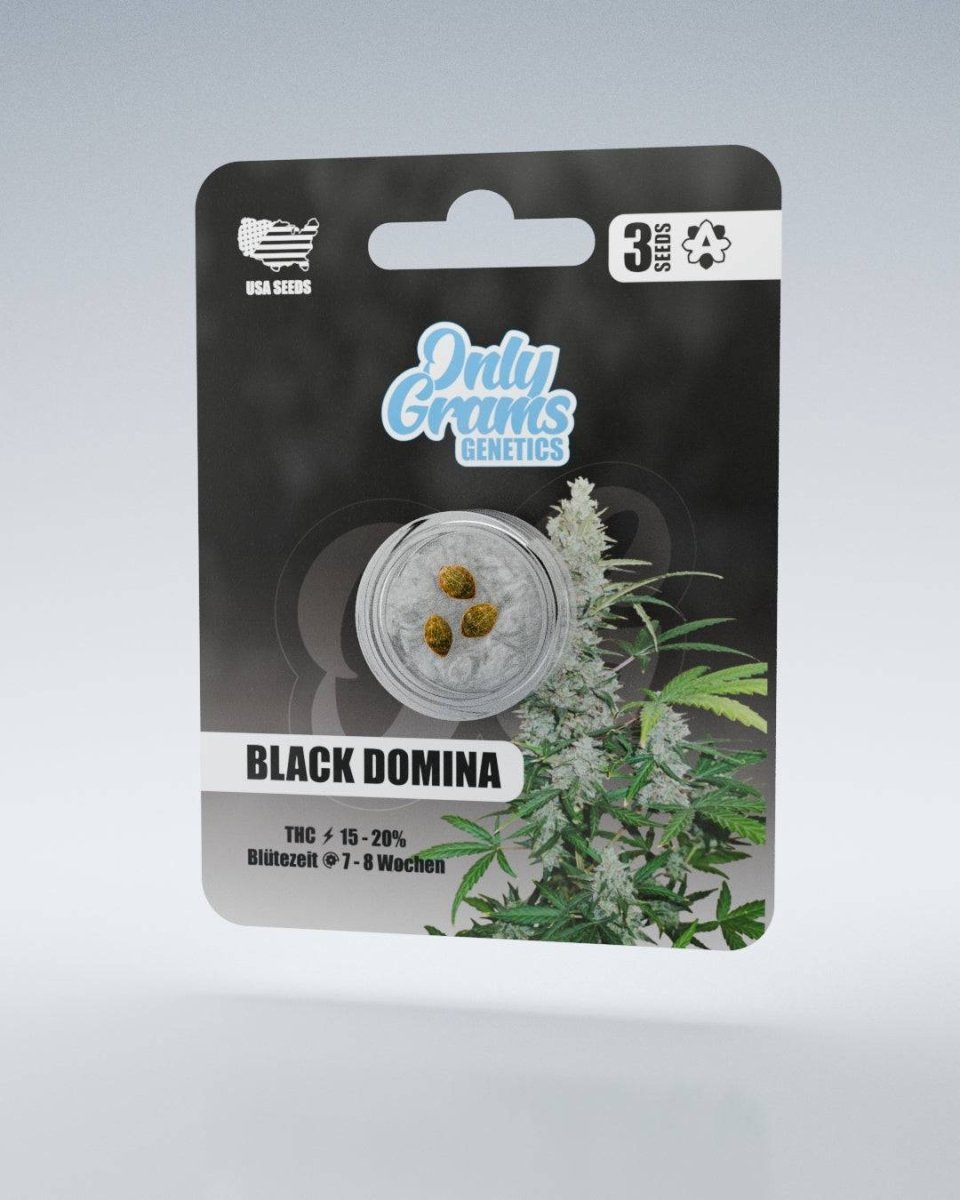 Black Domina THC - Seeds Cannabissamen - Hanfify