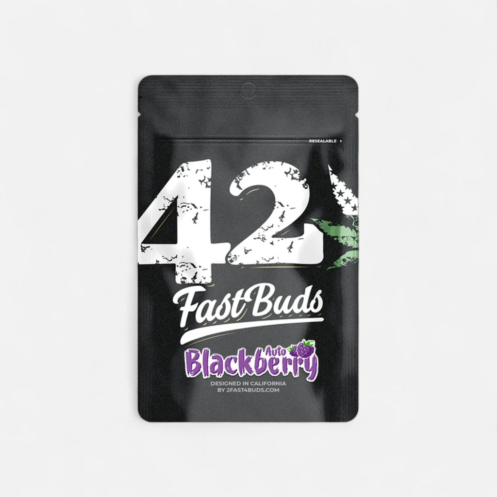 Blackberry | Autoflowering - Cannabissamen - Hanfify®