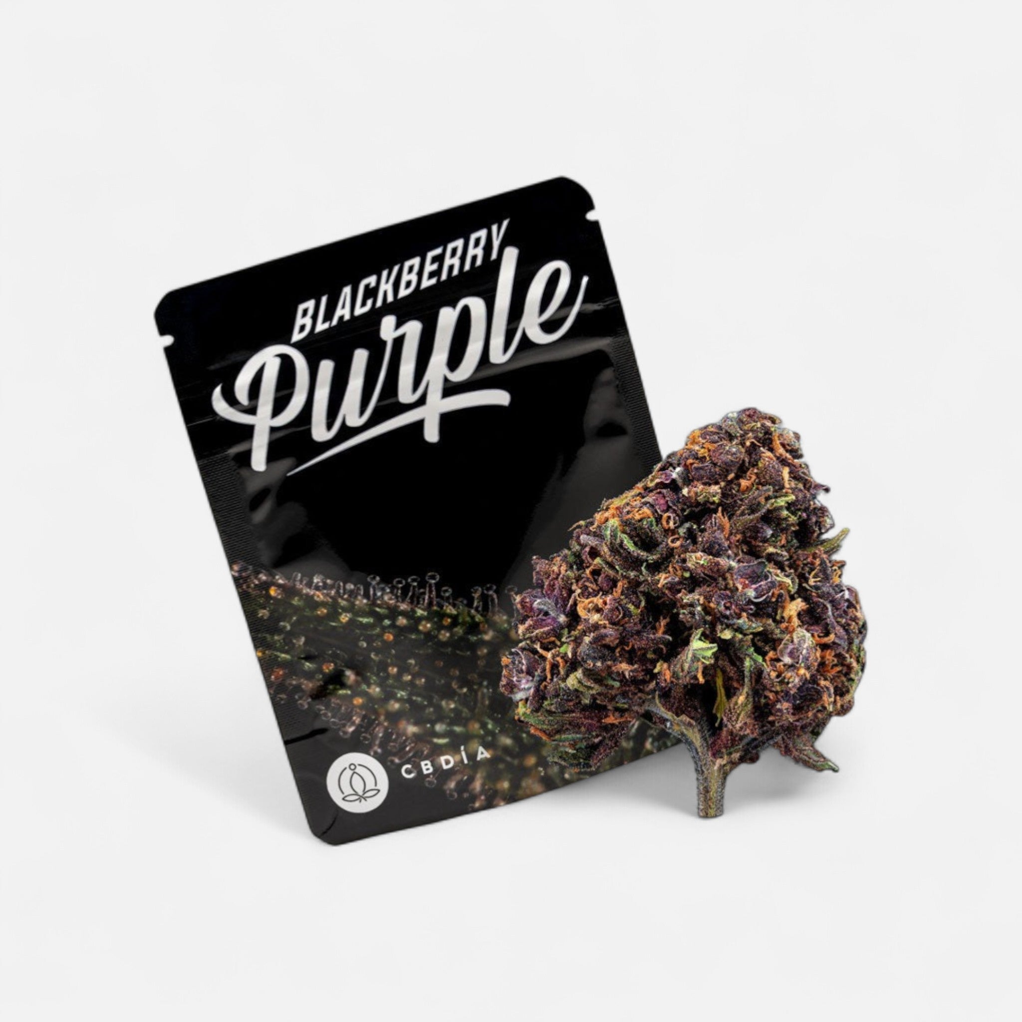 Blackberry Purple Blüten 2,5g - Hanfify