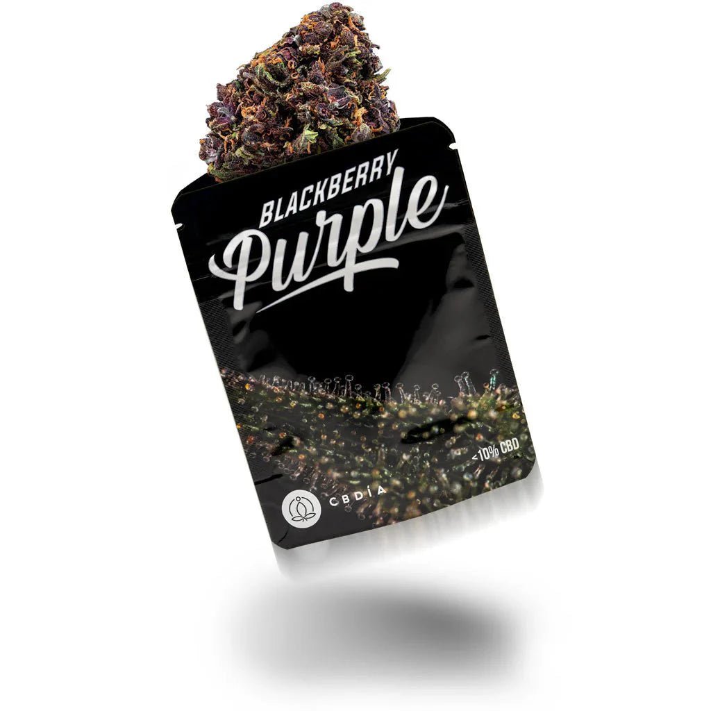 Blackberry Purple - Blüten - Hanfify®