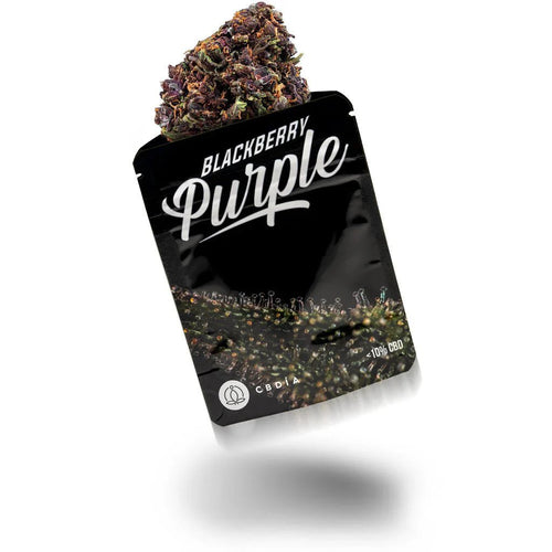 Blackberry Purple - Blüten - Hanfify®