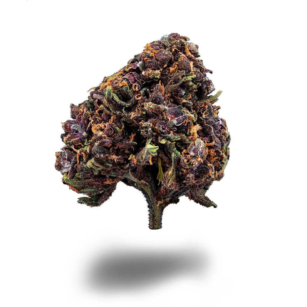 Blackberry Purple - Blüten - Hanfify®