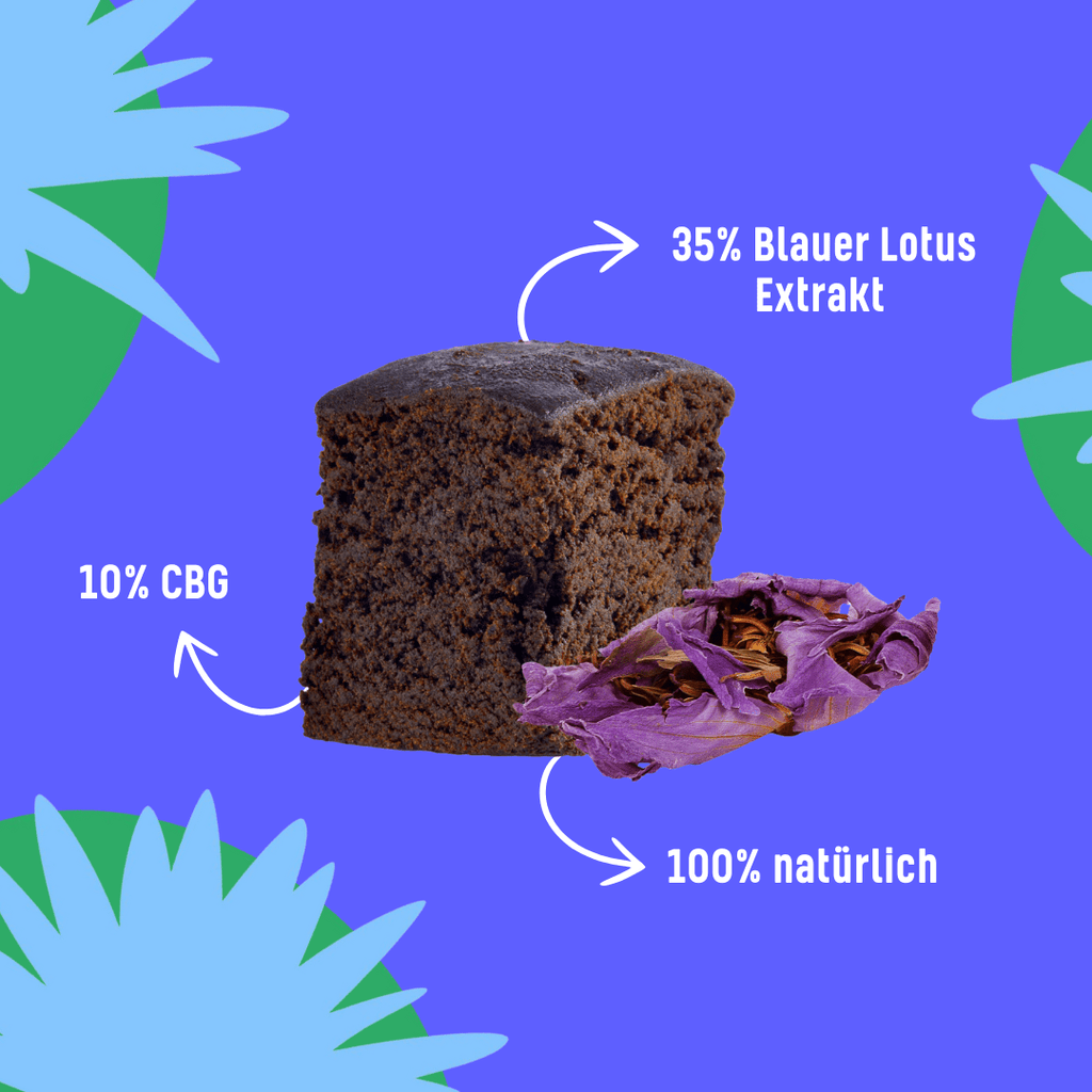 Blauer Lotus Hasch 🍫🪷 Smartshop 5g - Hanfify