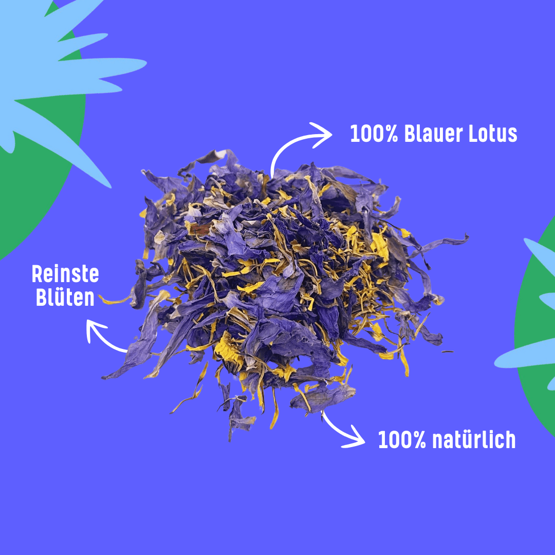 Blauer Lotus Tee 🪷 Smartshop 20g - Hanfify