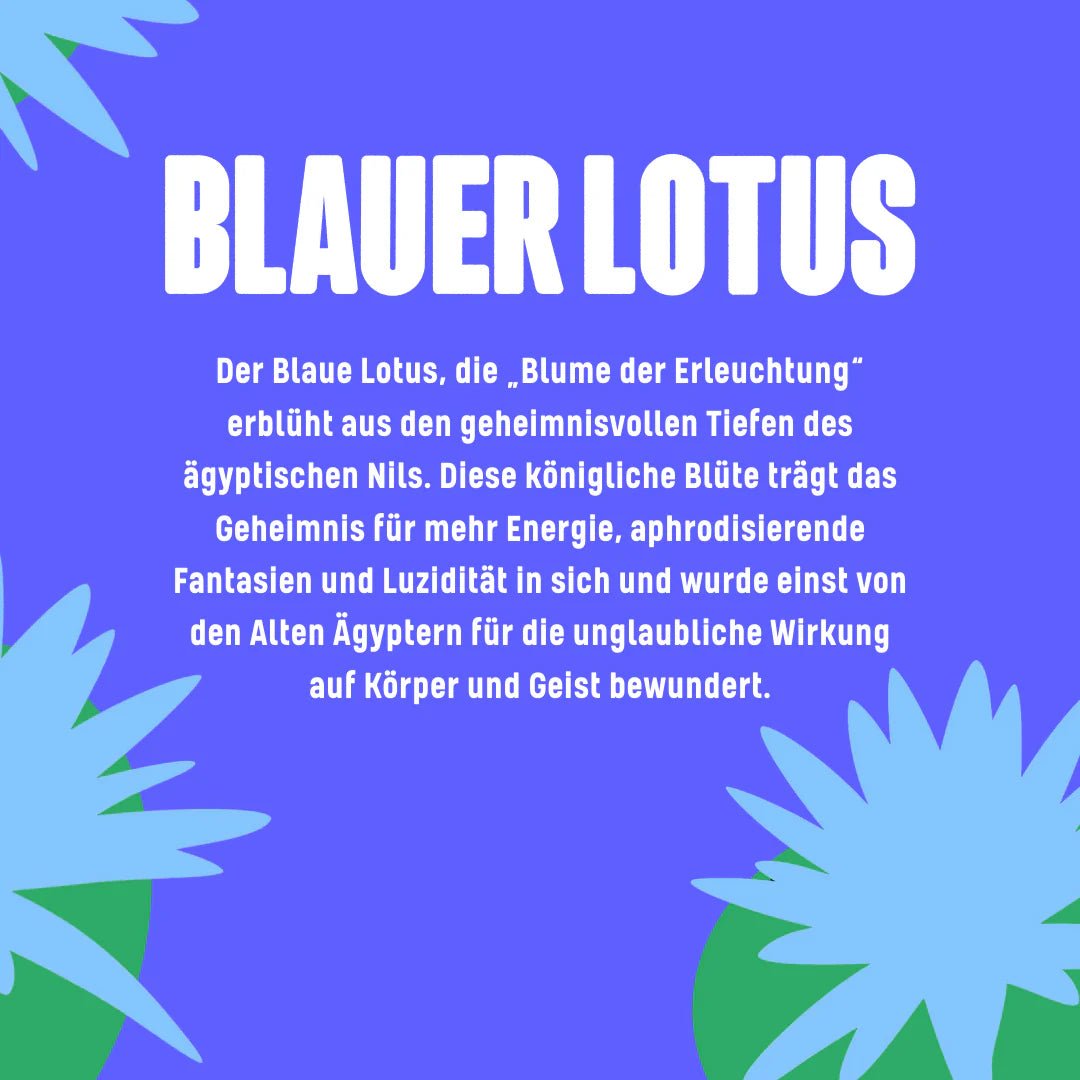 Blauer Lotus Tinktur 🪷 Smartshop 10ml - Hanfify®