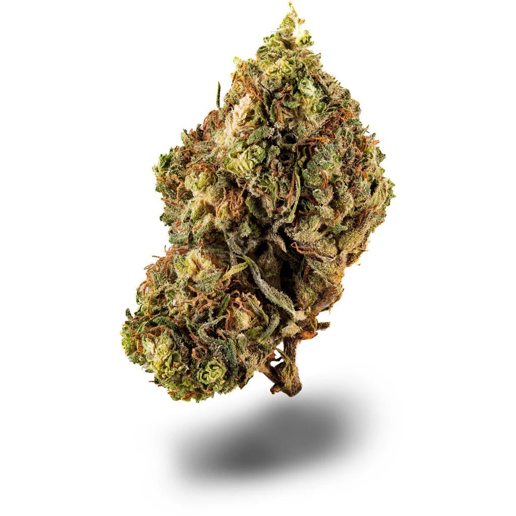 Blue Dream Blüten 2,5g - Hanfify