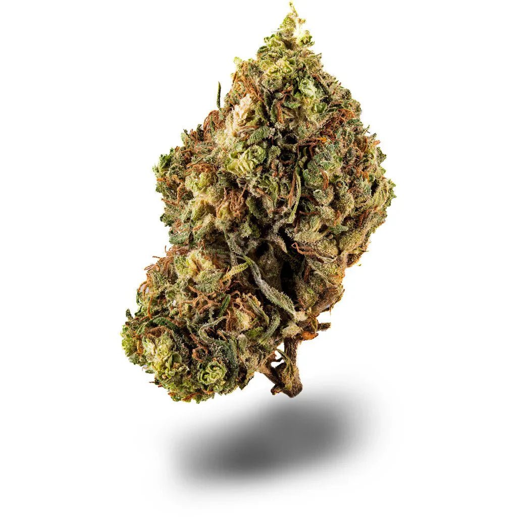 Blue Dream - Blüten - Hanfify®