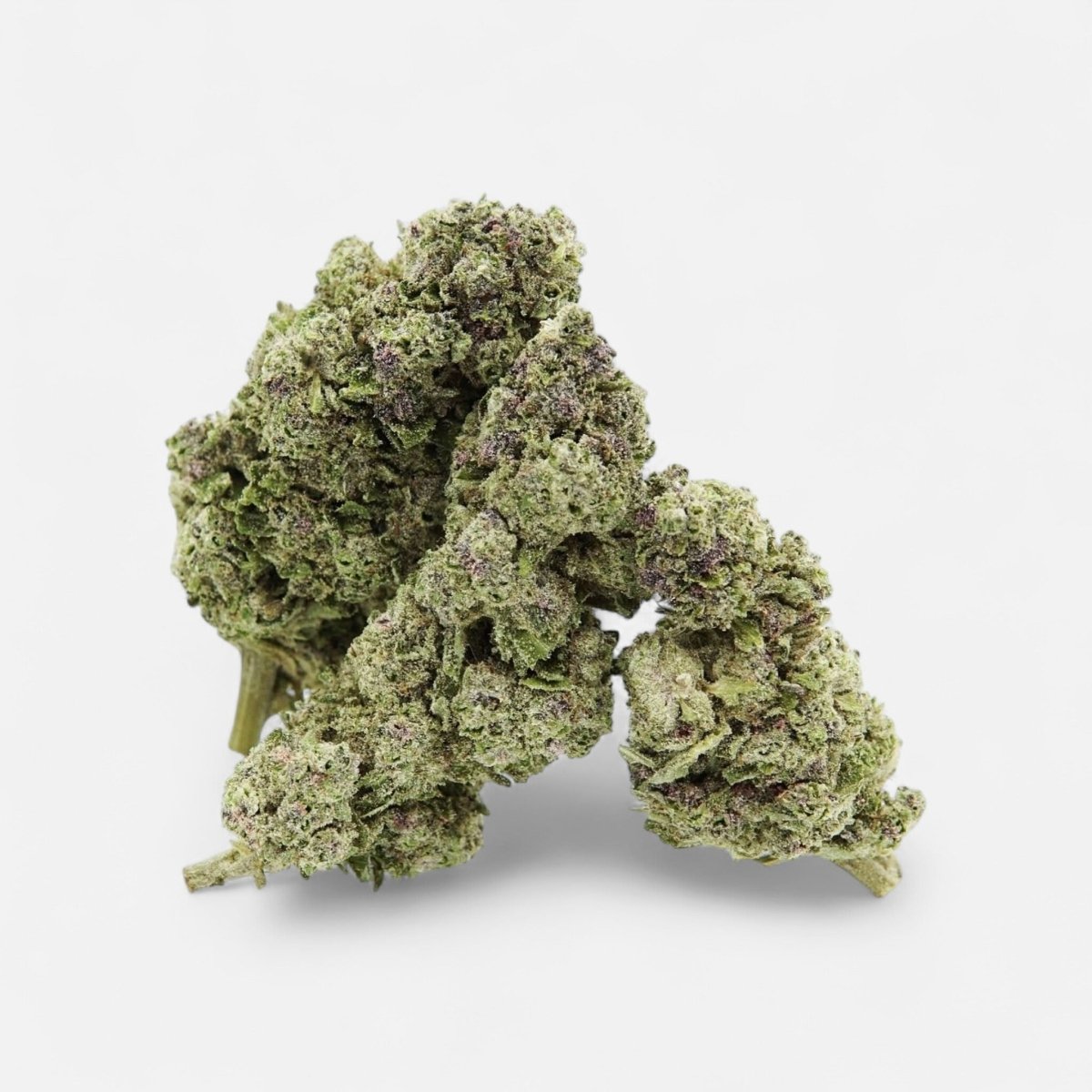 🌊🍣 Blue Zushi Extreme Blüten 2g - Hanfify