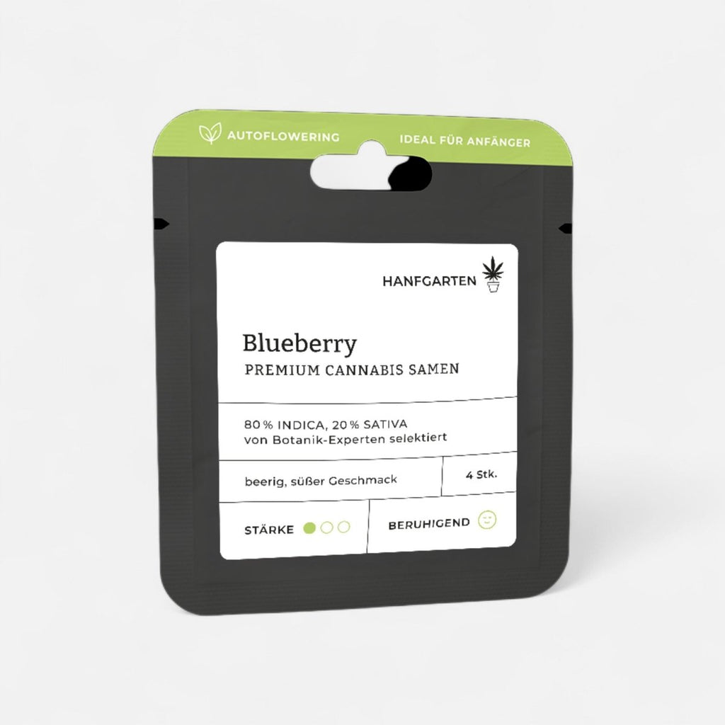Blueberry | Autoflowering Cannabissamen - Hanfify