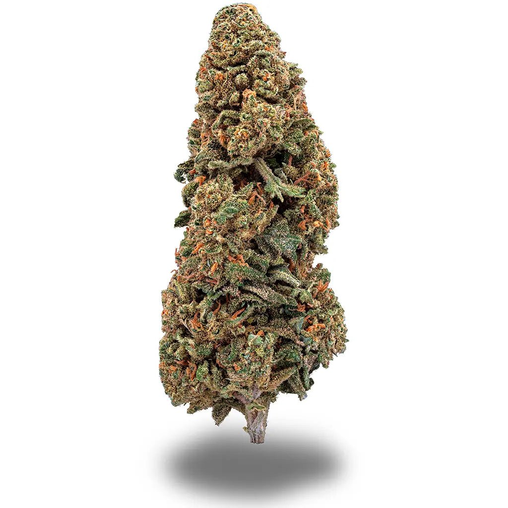 Blueberry Cookies Blüten 2,5g - Hanfify
