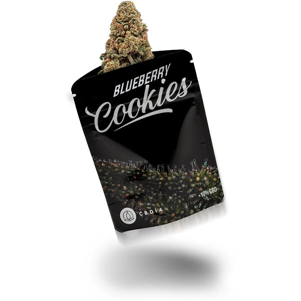 Blueberry Cookies Blüten 2,5g - Hanfify