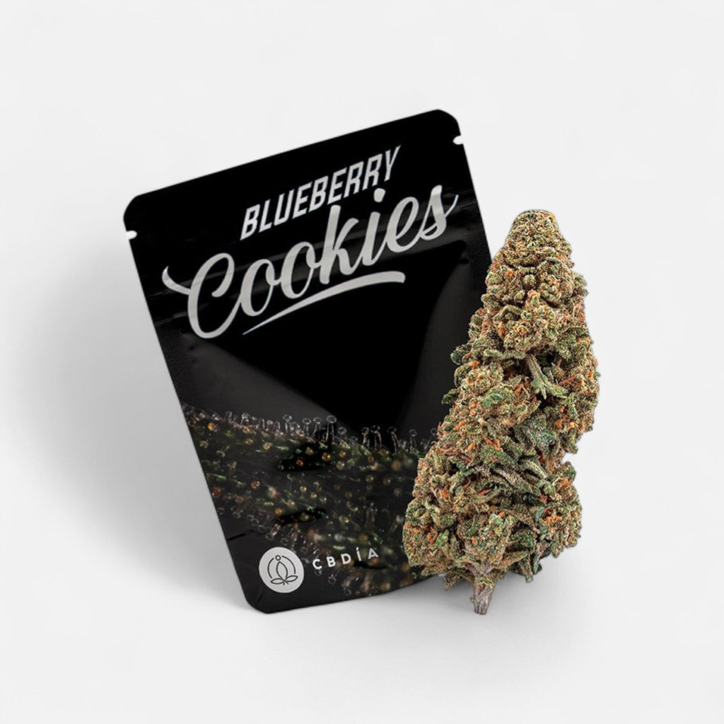 Blueberry Cookies - Blüten - Hanfify®