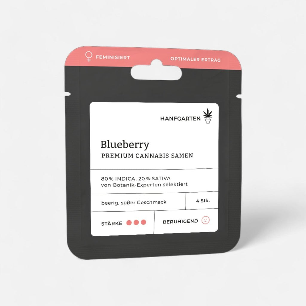 Blueberry | Feminisiert - Cannabissamen - Hanfify®
