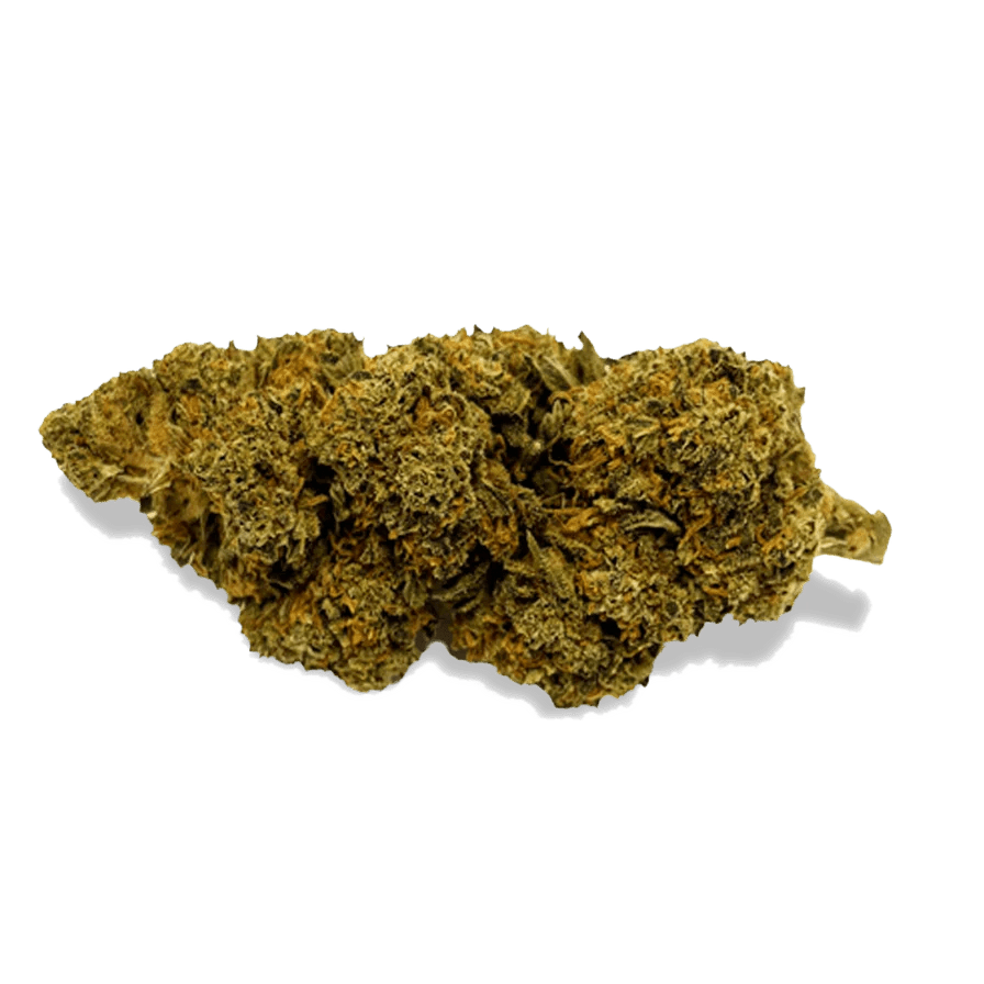 Blueberry Haze Ökopack - Blüten - Hanfify®