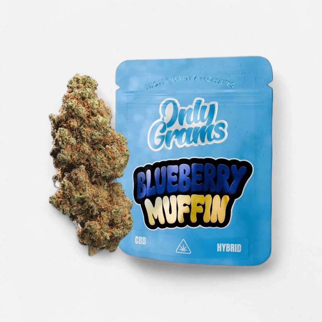 Blueberry Muffin - CBD Blüte 13% Blüten - Hanfify