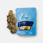 Blueberry Muffin - CBD Blüte 13% Blüten - Hanfify