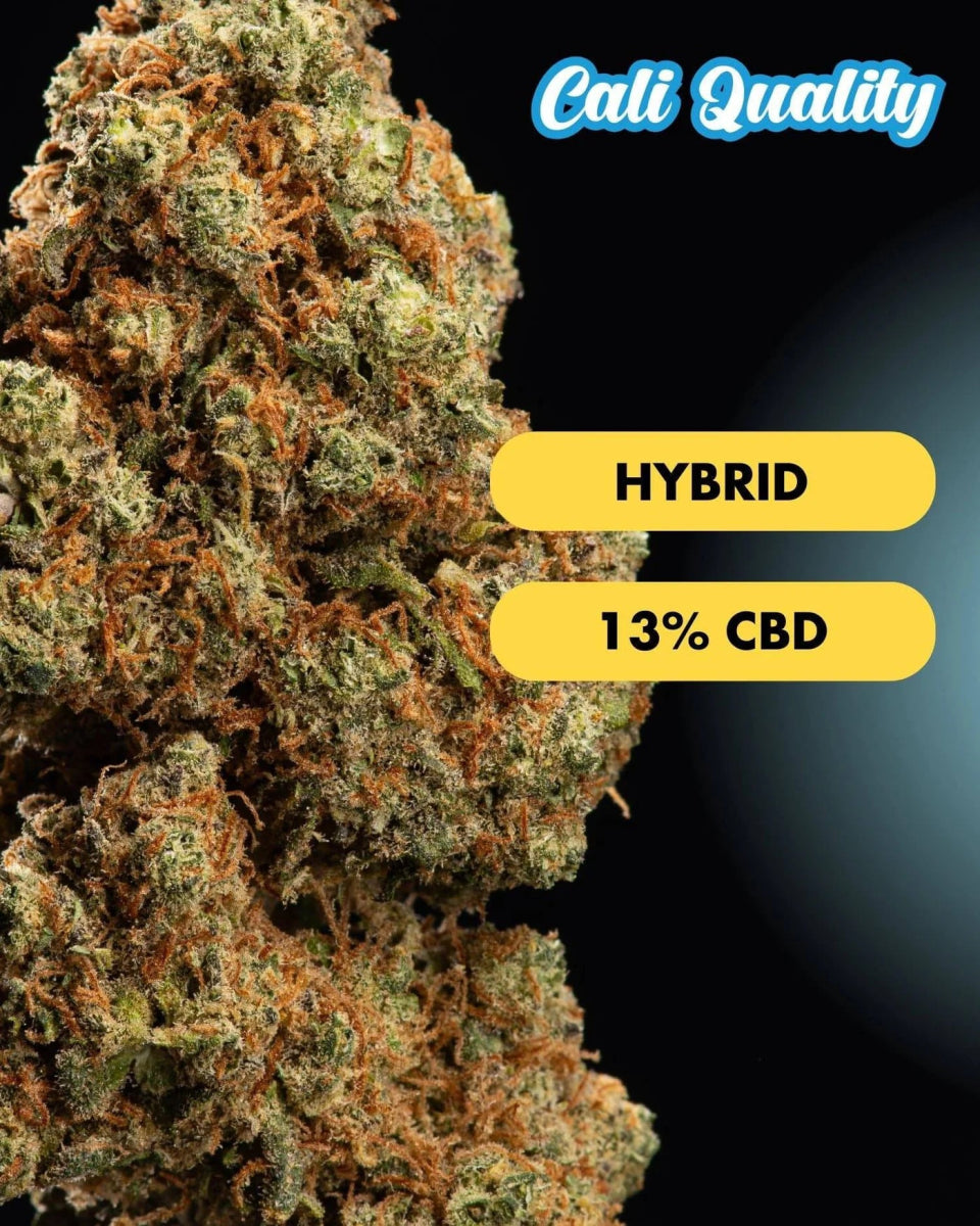 Blueberry Muffin - CBD Blüte 13% Blüten - Hanfify