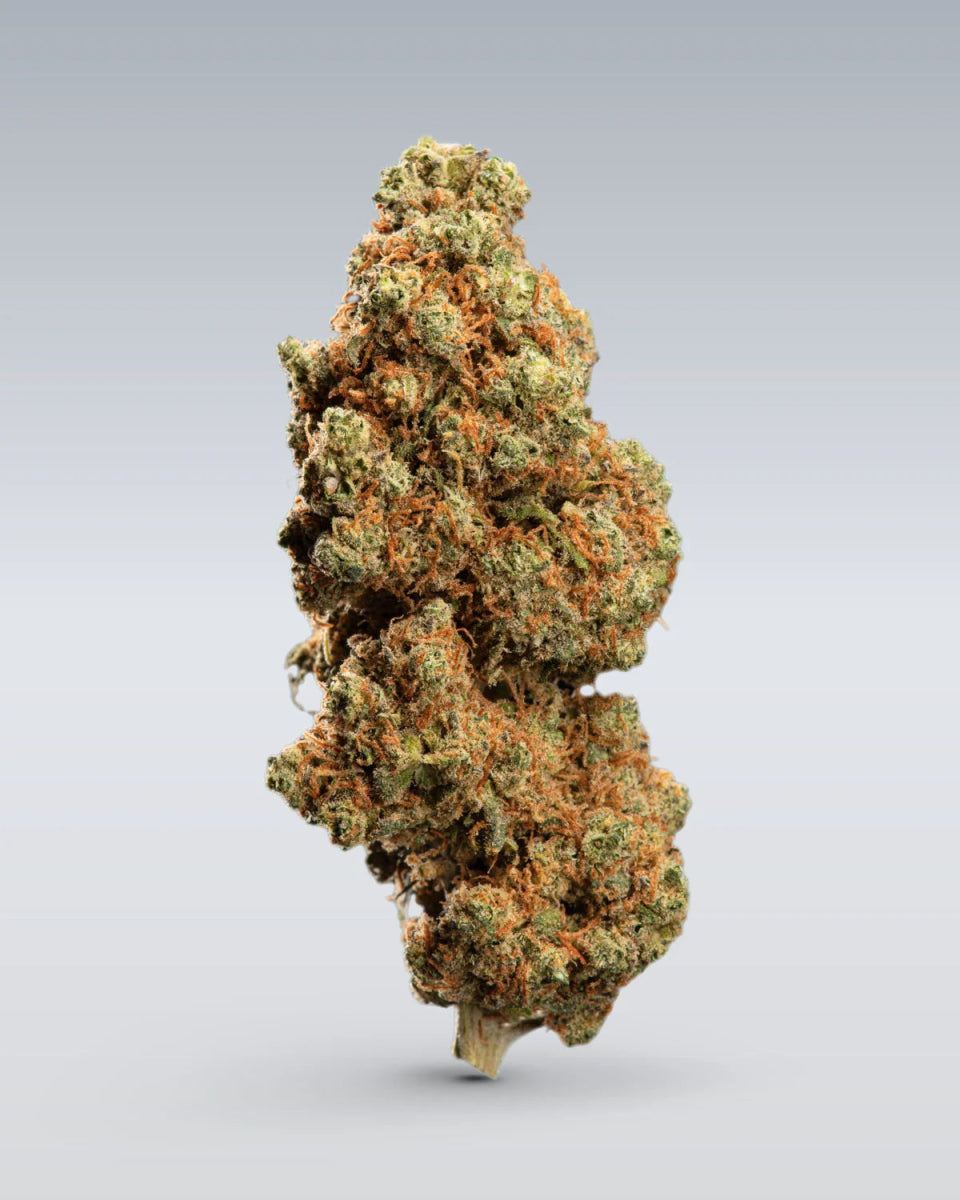 Blueberry Muffin - CBD Blüte 13% Blüten - Hanfify