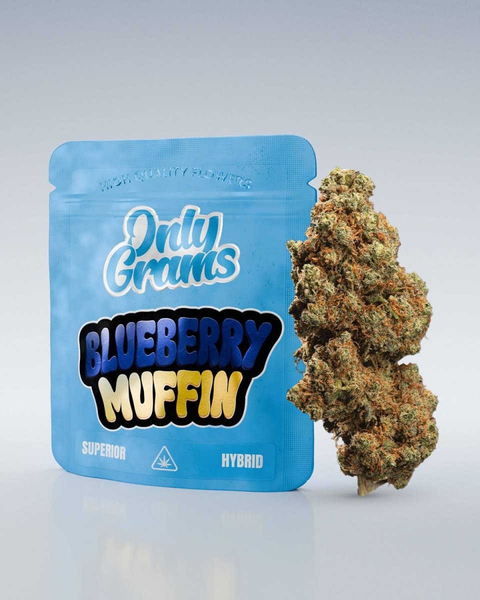 Blueberry Muffin - Superior Blüte 40% Blüten - Hanfify