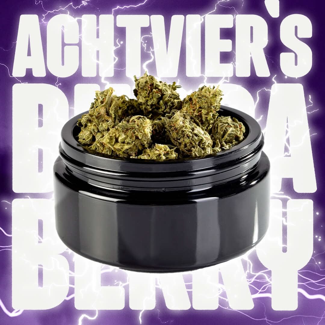 🫐 Bubba Berry by AchtVier 15% CBD Blüten 3g Dose - Hanfify