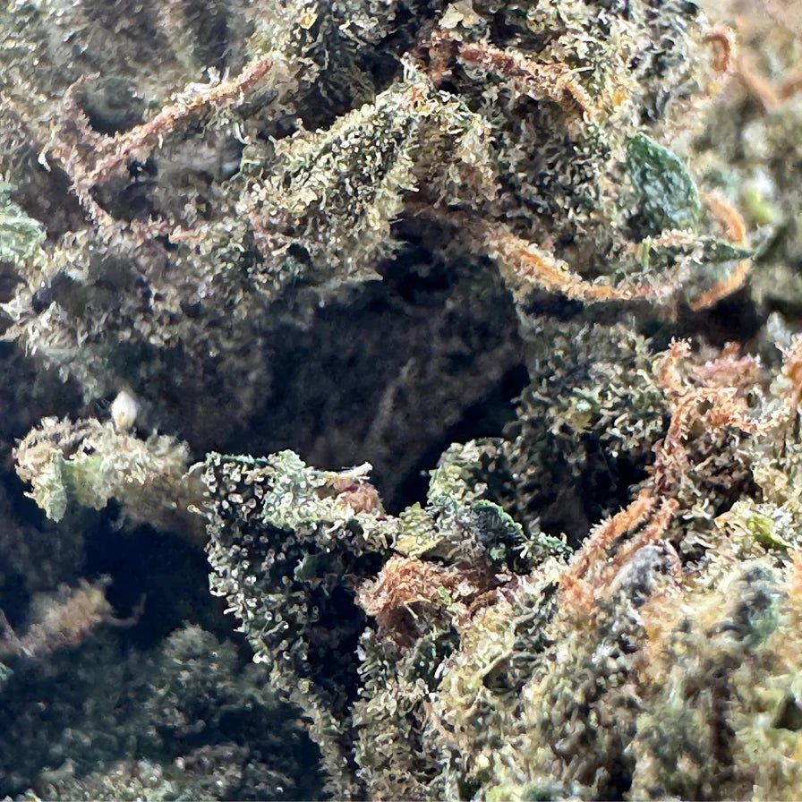 Bubba Kush Ökopack Blüten 5g - Hanfify®