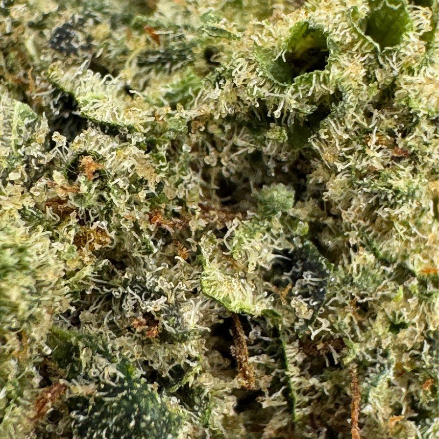 Bubblegum CBD Ökopack - Blüten - Hanfify®