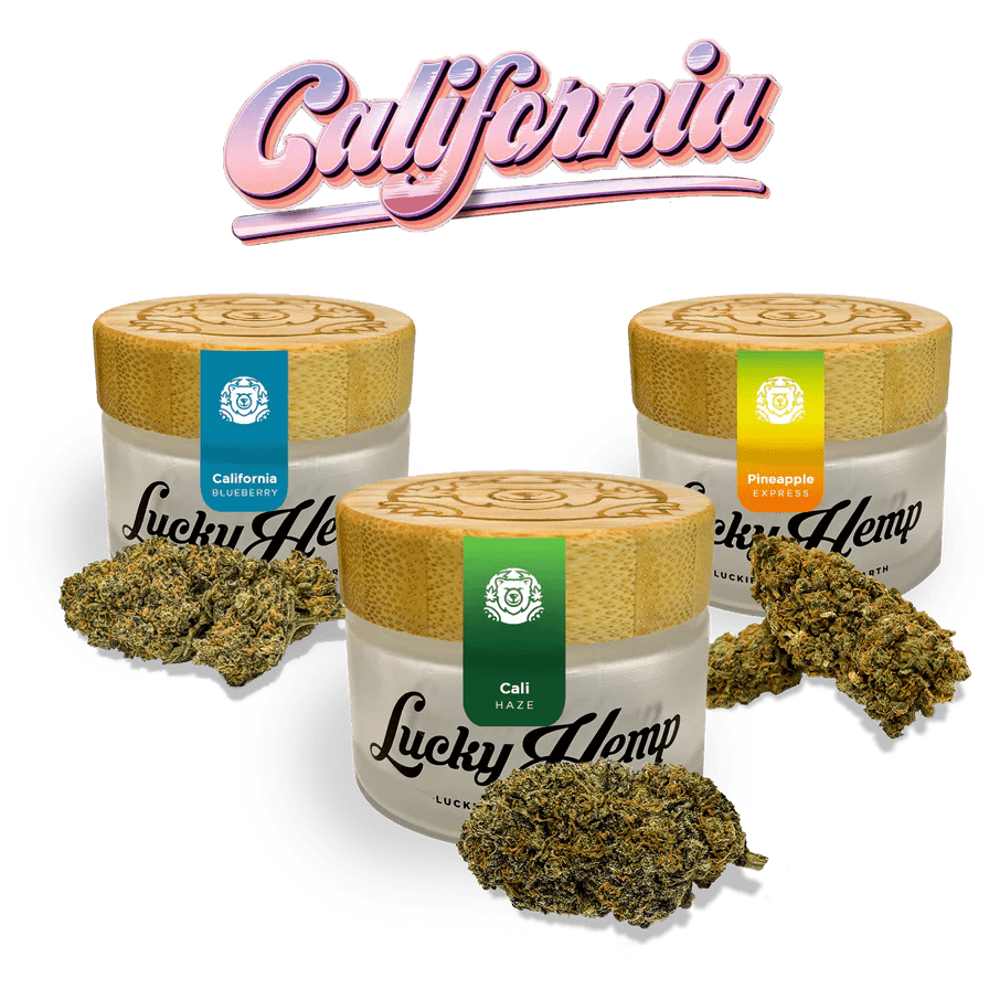 Cali Set Blüten 3 Sorten je 1g - Hanfify®
