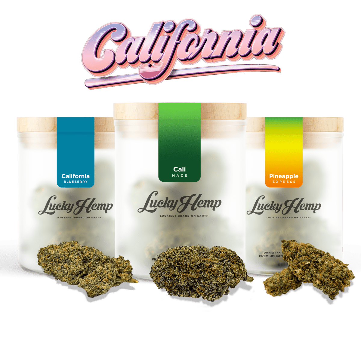 Cali Set Blüten 3 Sorten je 1g - Hanfify®