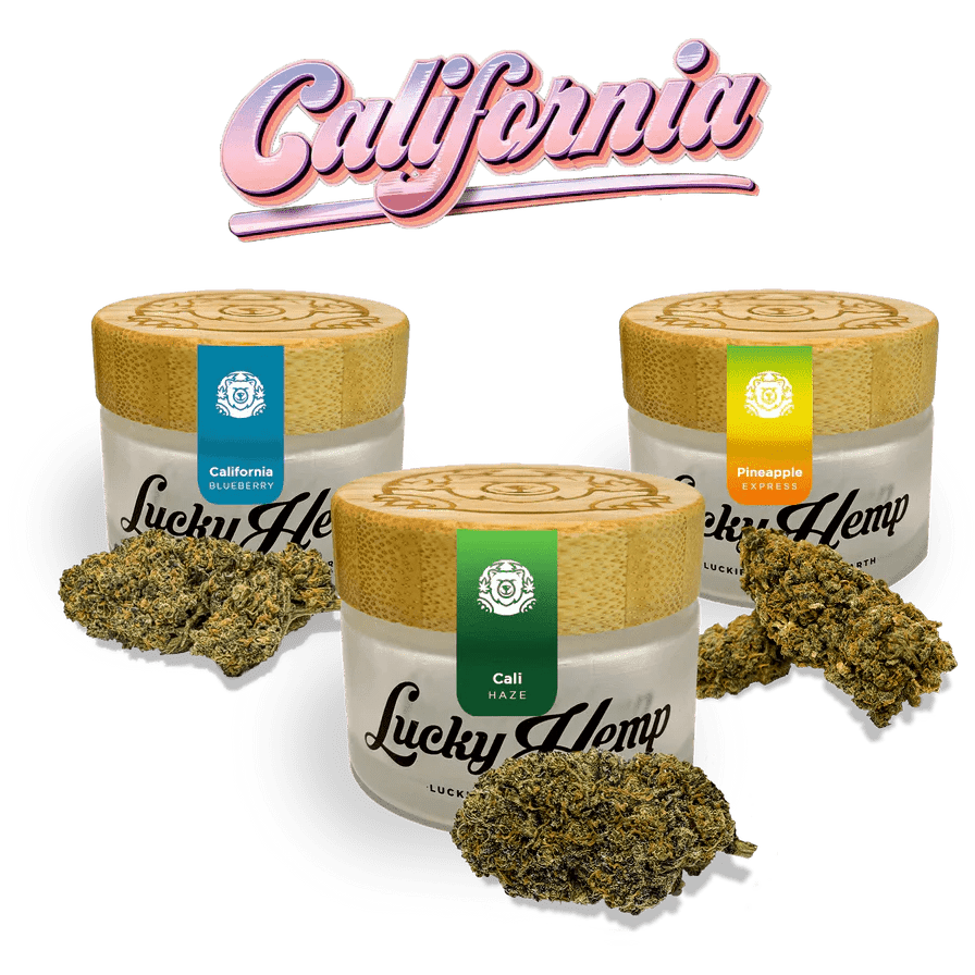 Cali Set - Blüten - Hanfify®