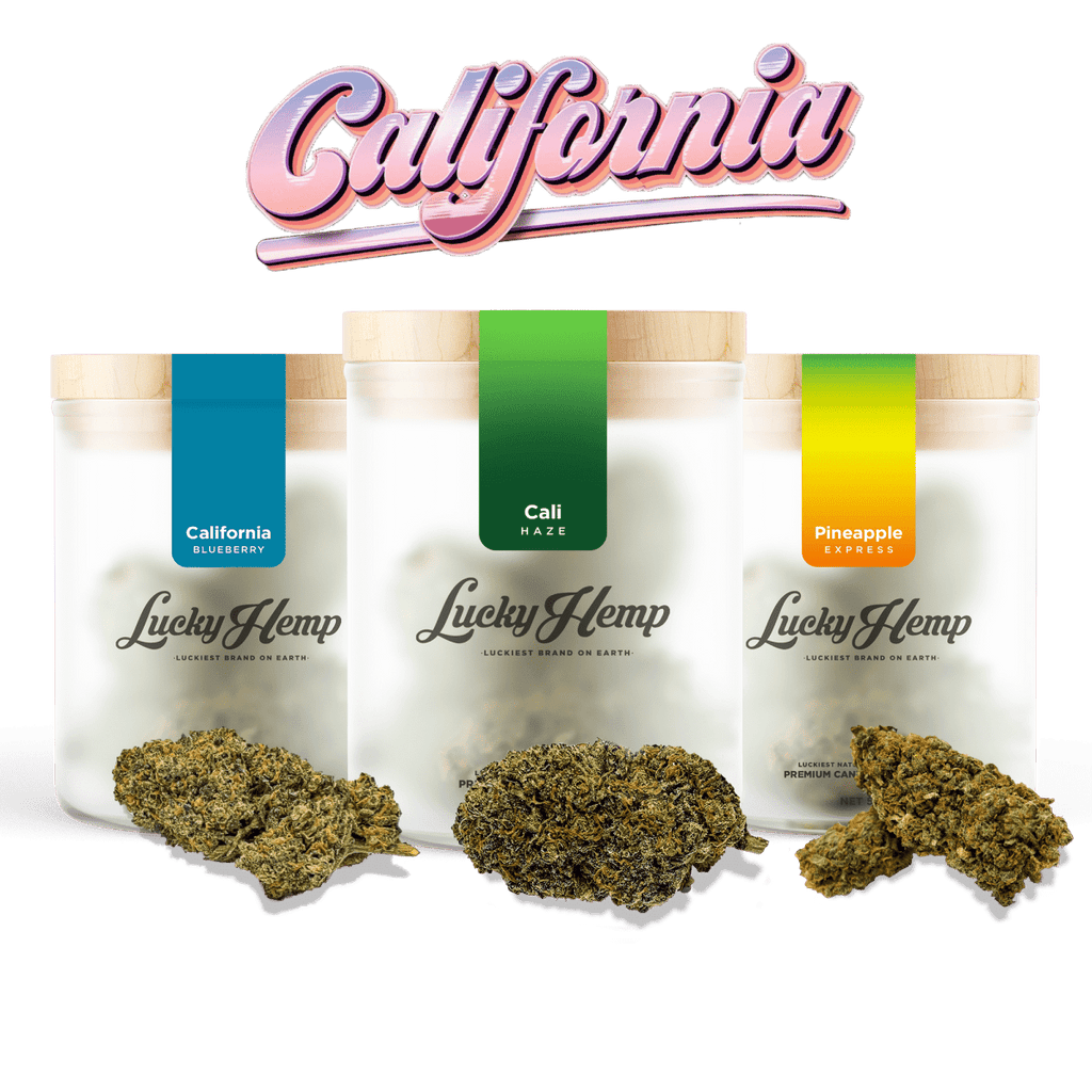 Cali Set - Blüten - Hanfify®