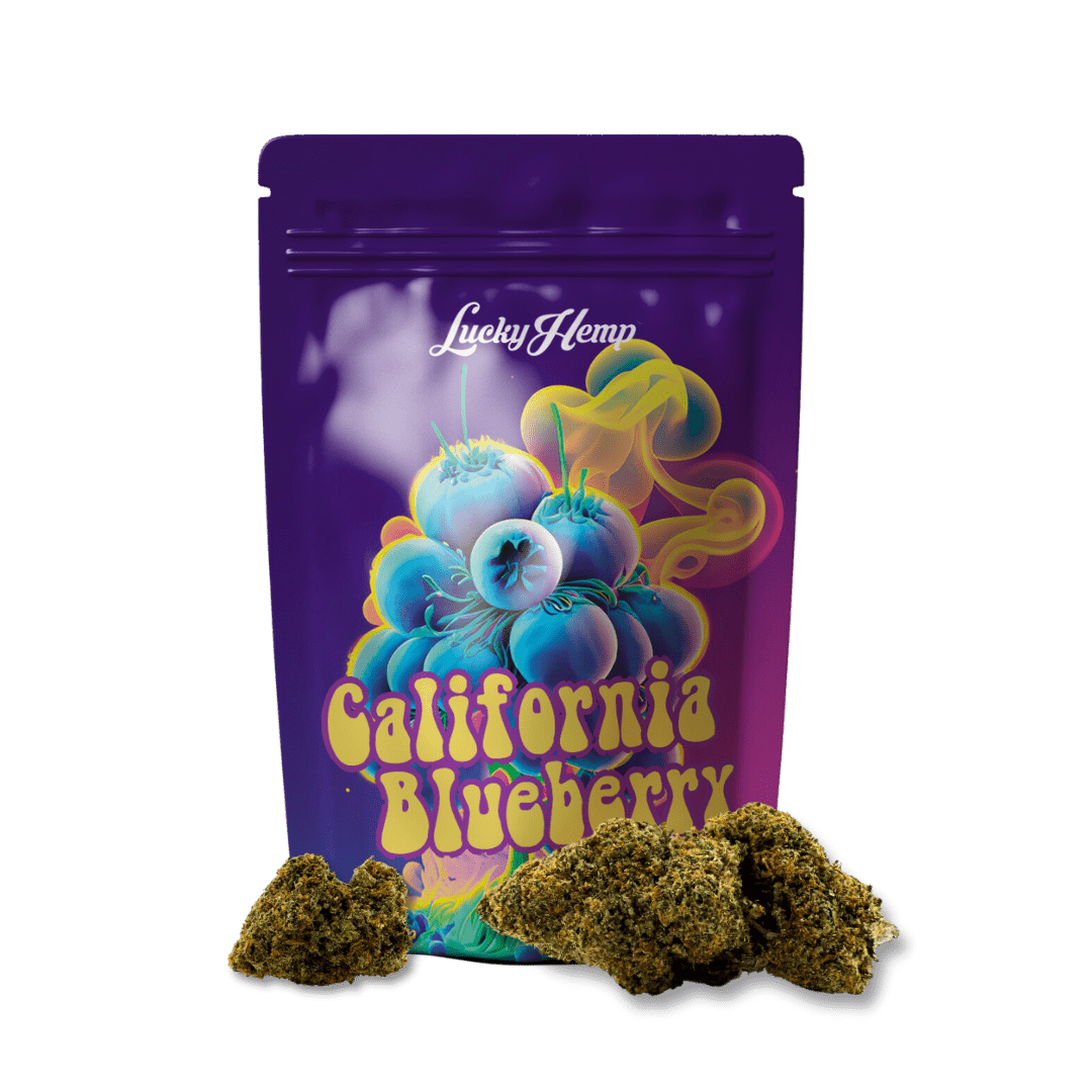 California Blueberry 3,5g Limited Pack - Blüten - Hanfify®