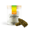 California Pineapple Express Glas Blüten 3g - Hanfify®