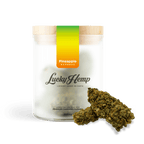 California Pineapple Express Glas Blüten 3g - Hanfify®