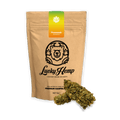 California Pineapple Express Ökopack - Blüten - Hanfify®