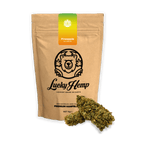 California Pineapple Express Ökopack Blüten 3g - Hanfify®