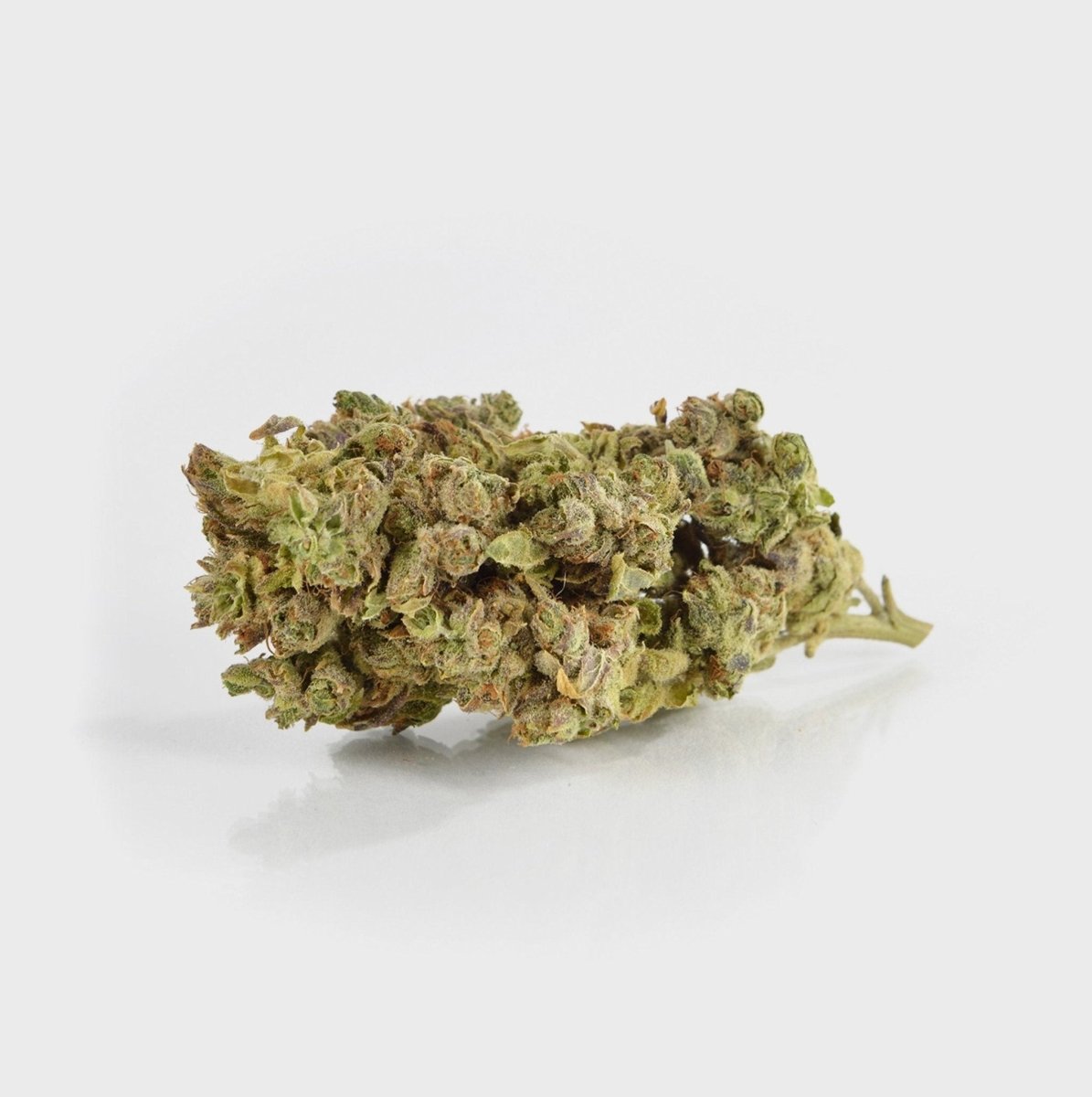 🍭 Candy Cloud 7% CBD by cannabby Blüten 3g Dose - Hanfify®