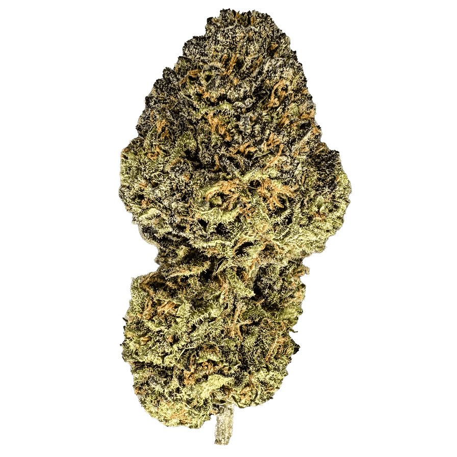 Candy Grape Glas - Blüten - Hanfify®